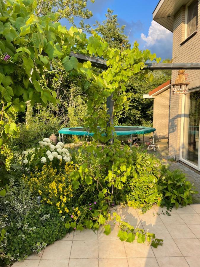 B&B Eibergen met privé zwembad en sauna Exterior foto